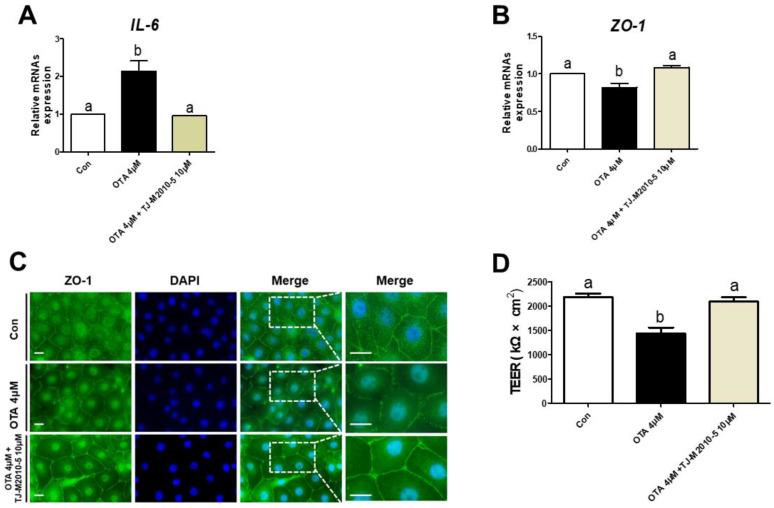 https://cdn.ncbi.nlm.nih.gov/pmc/blobs/658c/10221467/1989126e48cf/toxics-11-00437-g005.jpg