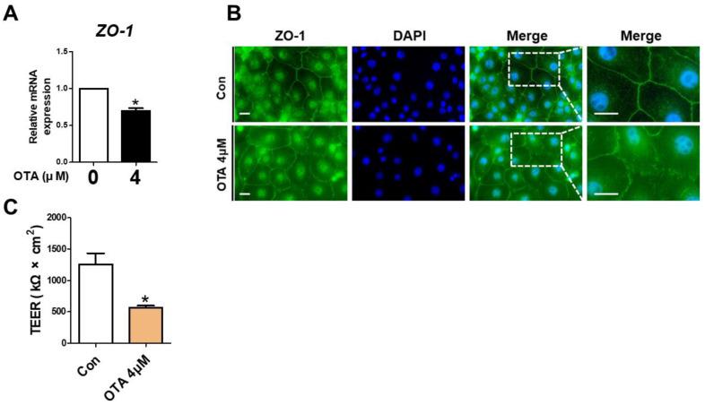 https://cdn.ncbi.nlm.nih.gov/pmc/blobs/658c/10221467/7d6a3bb8ab76/toxics-11-00437-g004.jpg