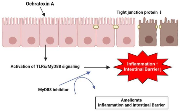 https://cdn.ncbi.nlm.nih.gov/pmc/blobs/658c/10221467/fa3f226bb210/toxics-11-00437-g006.jpg