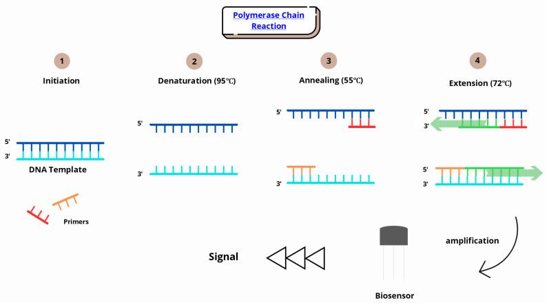 https://cdn.ncbi.nlm.nih.gov/pmc/blobs/6595/12349352/4b77206da495/sensors-25-04855-g004.jpg
