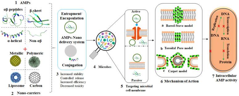 https://cdn.ncbi.nlm.nih.gov/pmc/blobs/659e/8620809/e5ca88cd1329/pharmaceutics-13-01795-g005.jpg