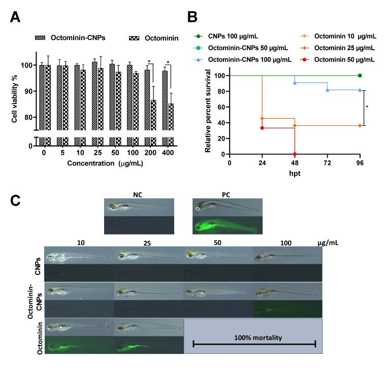https://cdn.ncbi.nlm.nih.gov/pmc/blobs/65b4/9782812/e5d8c755765e/ijms-23-15882-g002.jpg