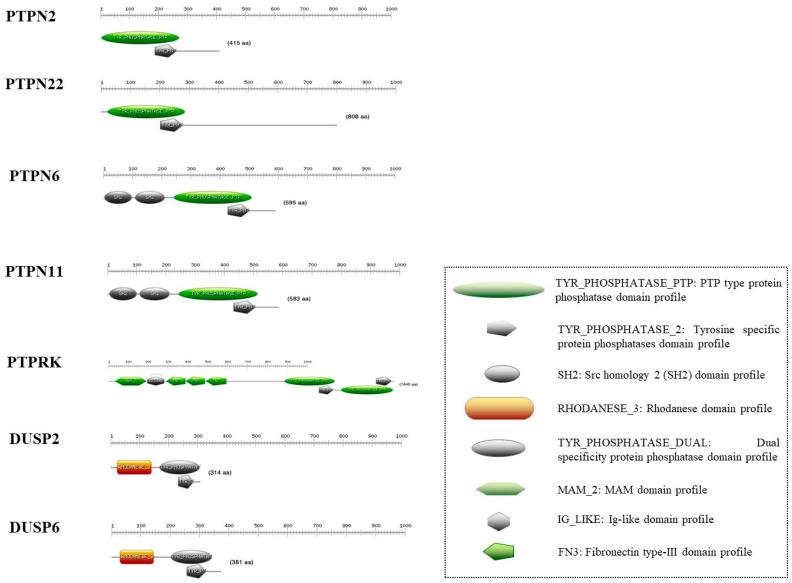https://cdn.ncbi.nlm.nih.gov/pmc/blobs/65e0/11640621/e9dee62df898/cells-13-01981-g001.jpg