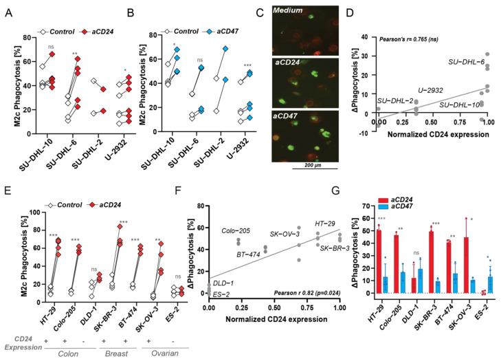 https://cdn.ncbi.nlm.nih.gov/pmc/blobs/65fc/9138264/92847bdf8f80/biomedicines-10-01175-g004.jpg
