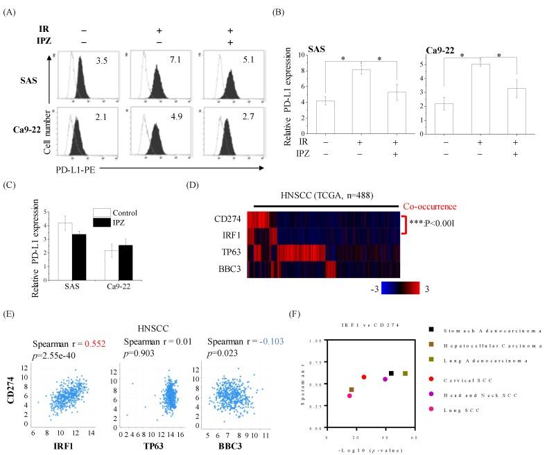https://cdn.ncbi.nlm.nih.gov/pmc/blobs/6607/7226044/c295522a9d44/cancers-12-00908-g005.jpg