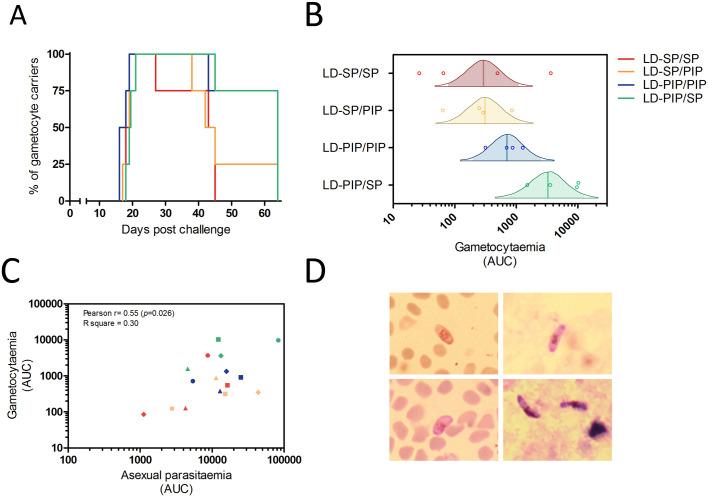 https://cdn.ncbi.nlm.nih.gov/pmc/blobs/6618/5828662/33a4429ece9b/elife-31549-fig3.jpg