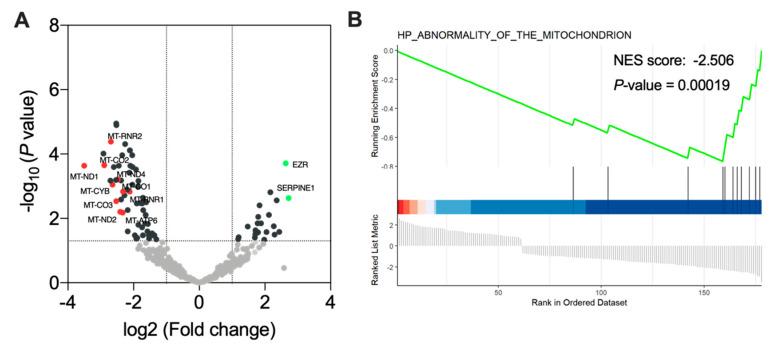 https://cdn.ncbi.nlm.nih.gov/pmc/blobs/6621/8657092/d514c6e4e718/cancers-13-05898-g005.jpg