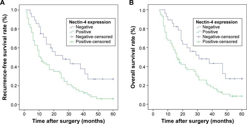 https://cdn.ncbi.nlm.nih.gov/pmc/blobs/6632/4708195/982e4e1d5db9/ott-9-183Fig4.jpg