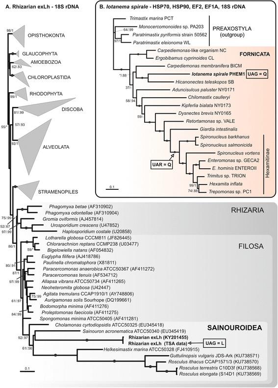 https://cdn.ncbi.nlm.nih.gov/pmc/blobs/6648/5304391/e2d1a54aa796/12915_2017_353_Fig1_HTML.jpg