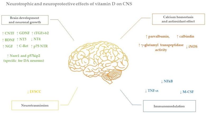 https://cdn.ncbi.nlm.nih.gov/pmc/blobs/6665/8953648/834146761211/nutrients-14-01220-g001.jpg