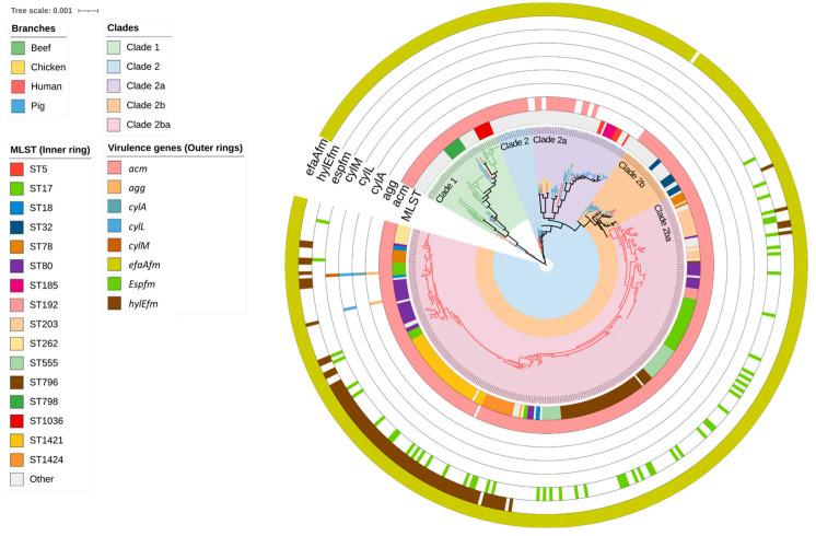 https://cdn.ncbi.nlm.nih.gov/pmc/blobs/667d/10376260/43683bcc4ff1/antibiotics-12-01122-g001.jpg