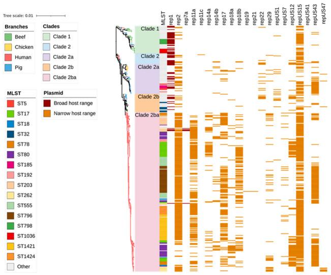 https://cdn.ncbi.nlm.nih.gov/pmc/blobs/667d/10376260/9680fef0290d/antibiotics-12-01122-g006.jpg