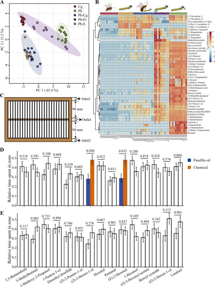 https://cdn.ncbi.nlm.nih.gov/pmc/blobs/6695/12316457/a971a0670cb2/elife-105585-fig3.jpg