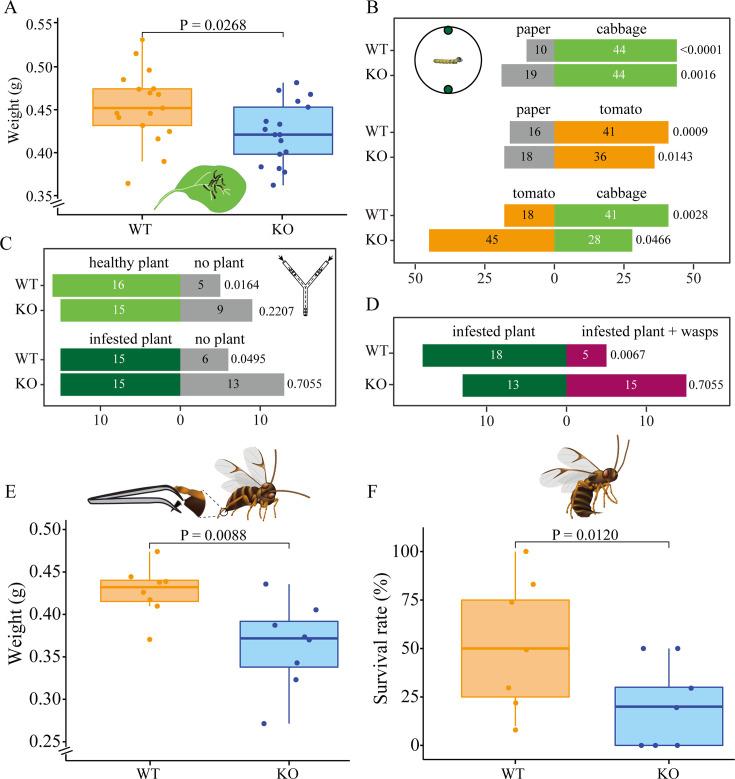 https://cdn.ncbi.nlm.nih.gov/pmc/blobs/6695/12316457/d284985e8591/elife-105585-fig2.jpg