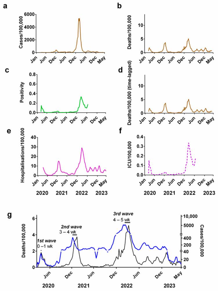 https://cdn.ncbi.nlm.nih.gov/pmc/blobs/66a4/10816378/398a8ae41607/jcm-13-00334-g002.jpg