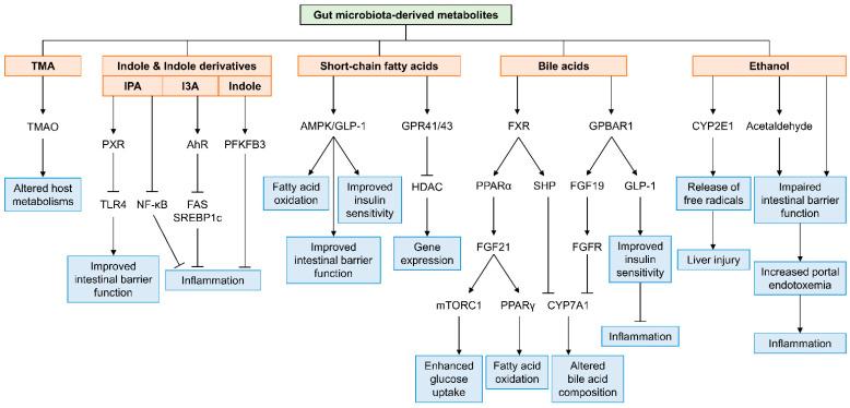https://cdn.ncbi.nlm.nih.gov/pmc/blobs/66b4/8534099/dbceaa81e56d/cells-10-02634-g001.jpg