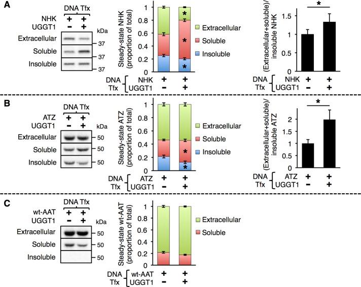 https://cdn.ncbi.nlm.nih.gov/pmc/blobs/66c3/3756913/1ebf1cf4b329/2597fig1.jpg