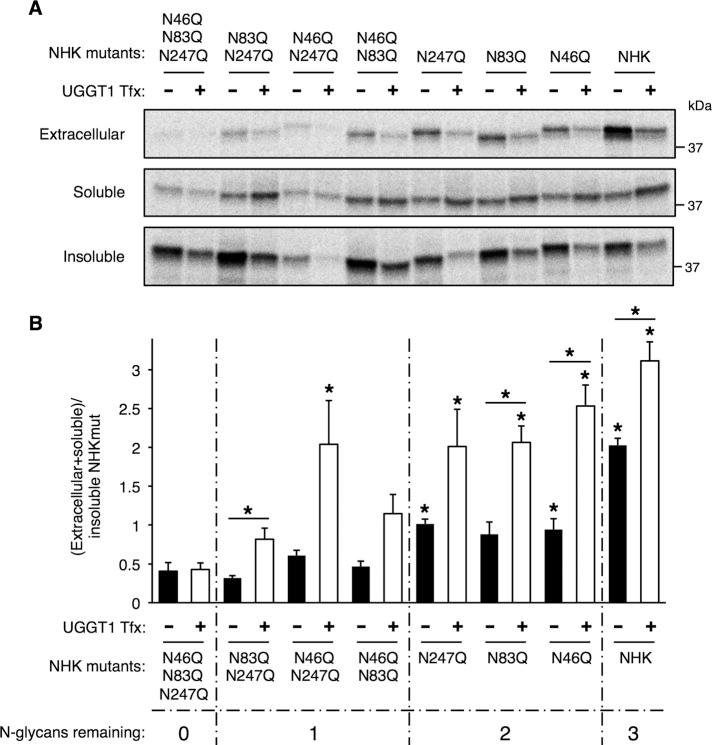 https://cdn.ncbi.nlm.nih.gov/pmc/blobs/66c3/3756913/3c86ba0adc12/2597fig6.jpg