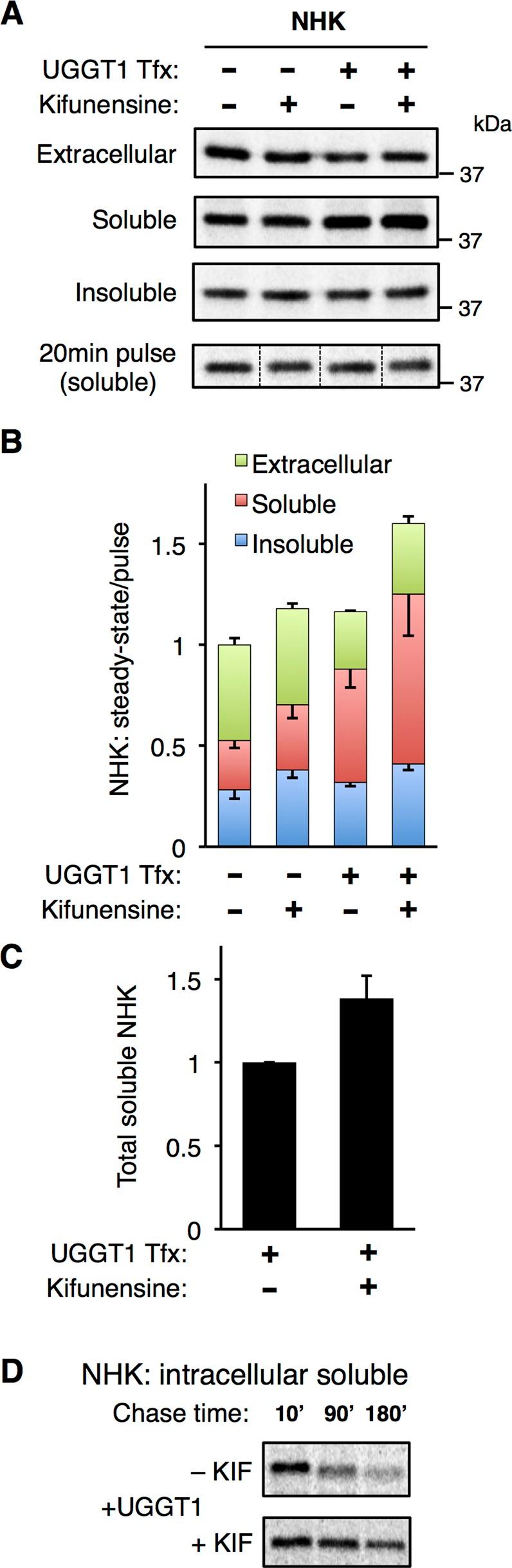 https://cdn.ncbi.nlm.nih.gov/pmc/blobs/66c3/3756913/4773cb2a4816/2597fig5.jpg