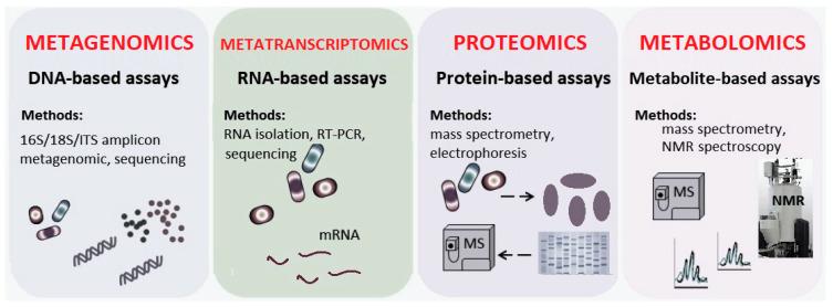 https://cdn.ncbi.nlm.nih.gov/pmc/blobs/66ef/8945538/634a70c1f8c0/biomedicines-10-00671-g002.jpg