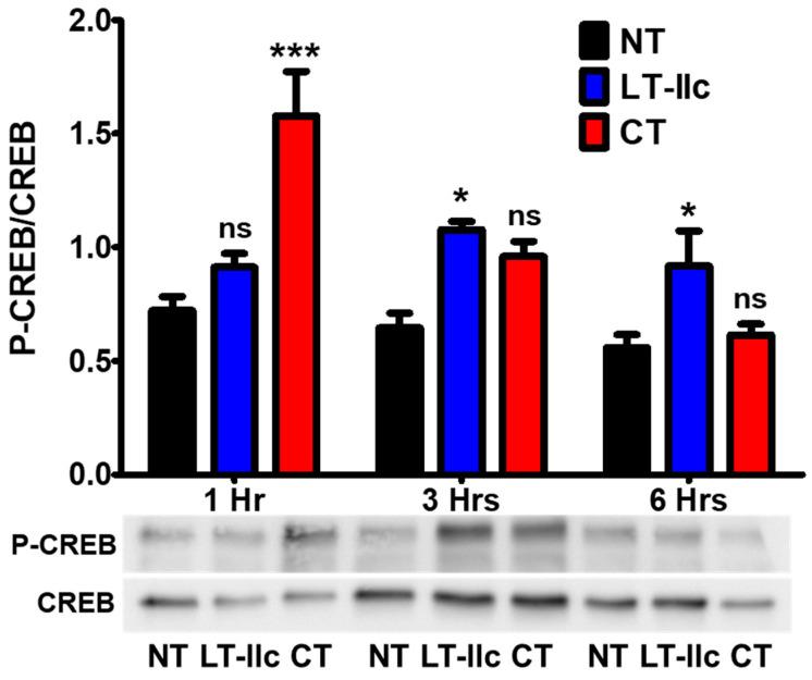 https://cdn.ncbi.nlm.nih.gov/pmc/blobs/66f1/11281474/20e6dab4b5cd/toxins-16-00311-g003.jpg