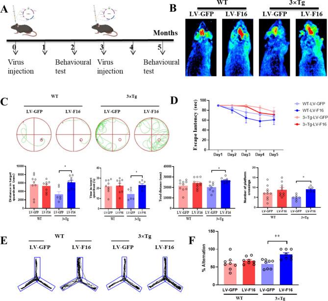 https://cdn.ncbi.nlm.nih.gov/pmc/blobs/6715/11580471/86eca72bcd1d/40364_2024_691_Fig4_HTML.jpg