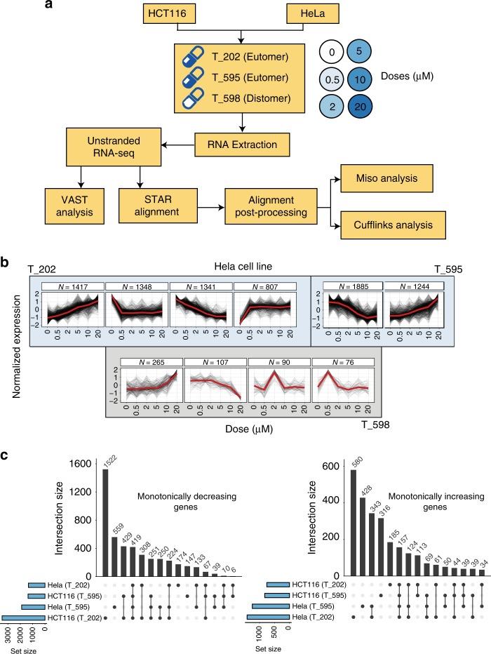 https://cdn.ncbi.nlm.nih.gov/pmc/blobs/6749/6499833/77548801e936/42003_2019_391_Fig1_HTML.jpg