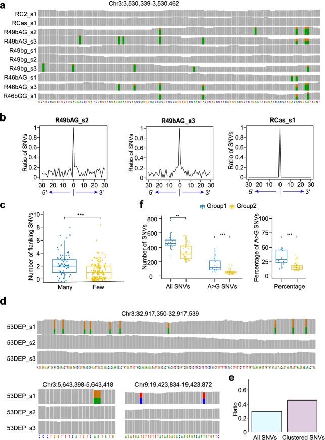 https://cdn.ncbi.nlm.nih.gov/pmc/blobs/676d/8826654/8d45fcb352fa/13059_2022_2618_Fig5_HTML.jpg