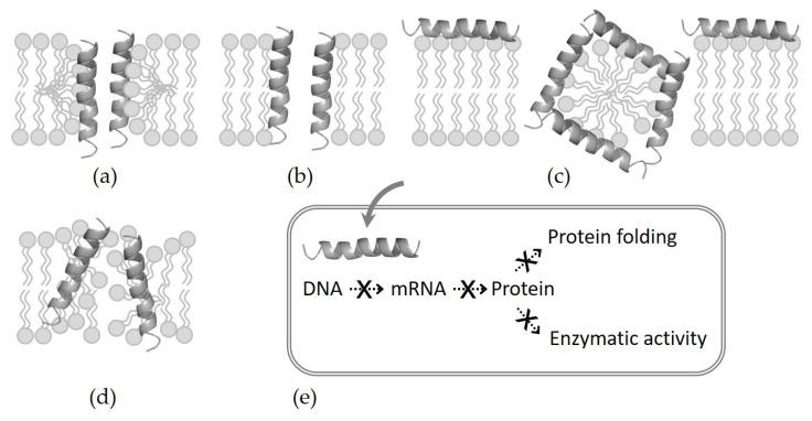 https://cdn.ncbi.nlm.nih.gov/pmc/blobs/6772/9599025/f180efee62e8/antibiotics-11-01338-g001.jpg