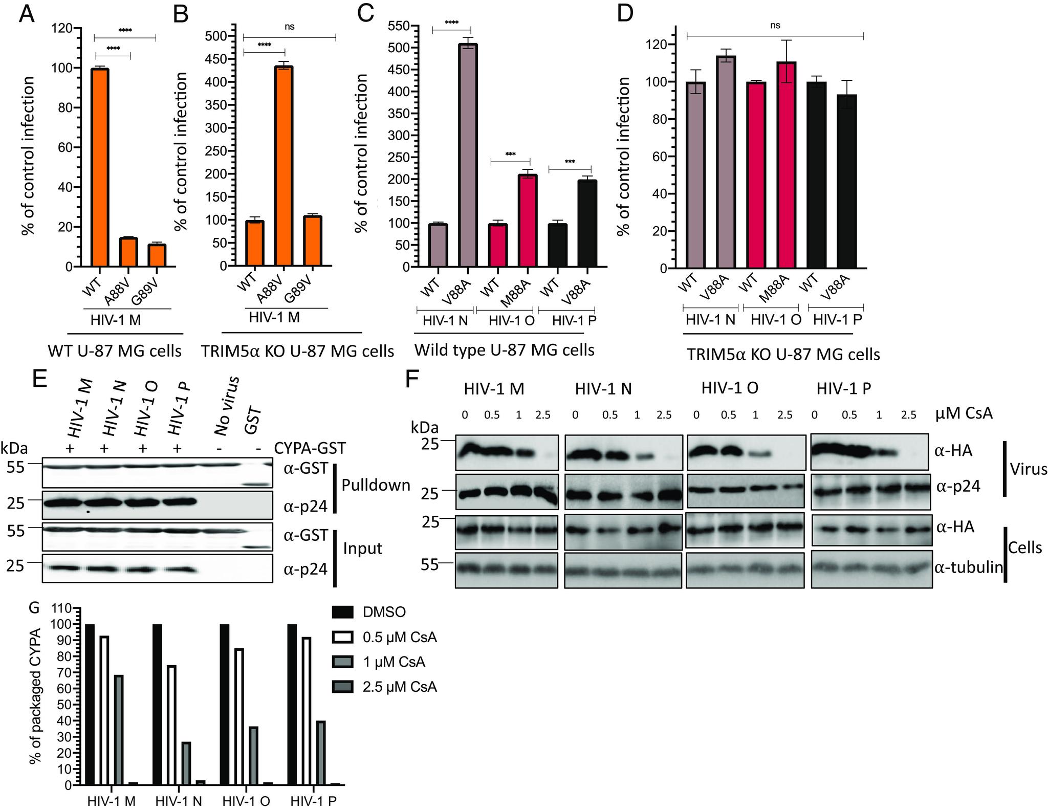 https://cdn.ncbi.nlm.nih.gov/pmc/blobs/6786/10691330/5b74f0cf19ae/pnas.2306374120fig02.jpg