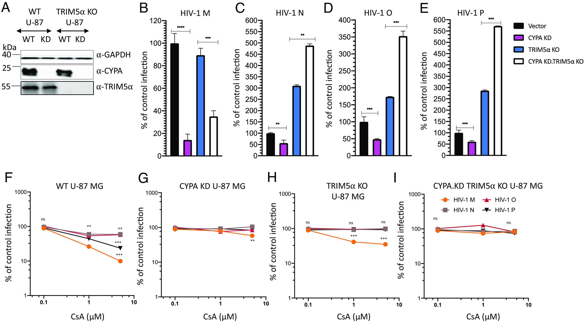 https://cdn.ncbi.nlm.nih.gov/pmc/blobs/6786/10691330/e0f6688aaba8/pnas.2306374120fig05.jpg