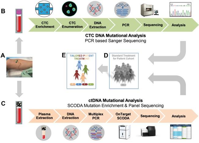 https://cdn.ncbi.nlm.nih.gov/pmc/blobs/6789/5356741/233d7dbcf0a4/oncotarget-07-85349-g001.jpg