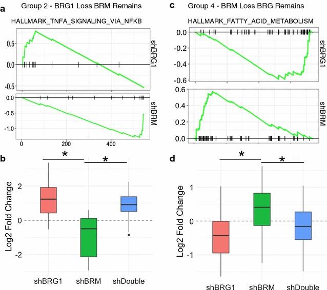 https://cdn.ncbi.nlm.nih.gov/pmc/blobs/67a0/5740901/b93fd56e913c/13072_2017_167_Fig6_HTML.jpg