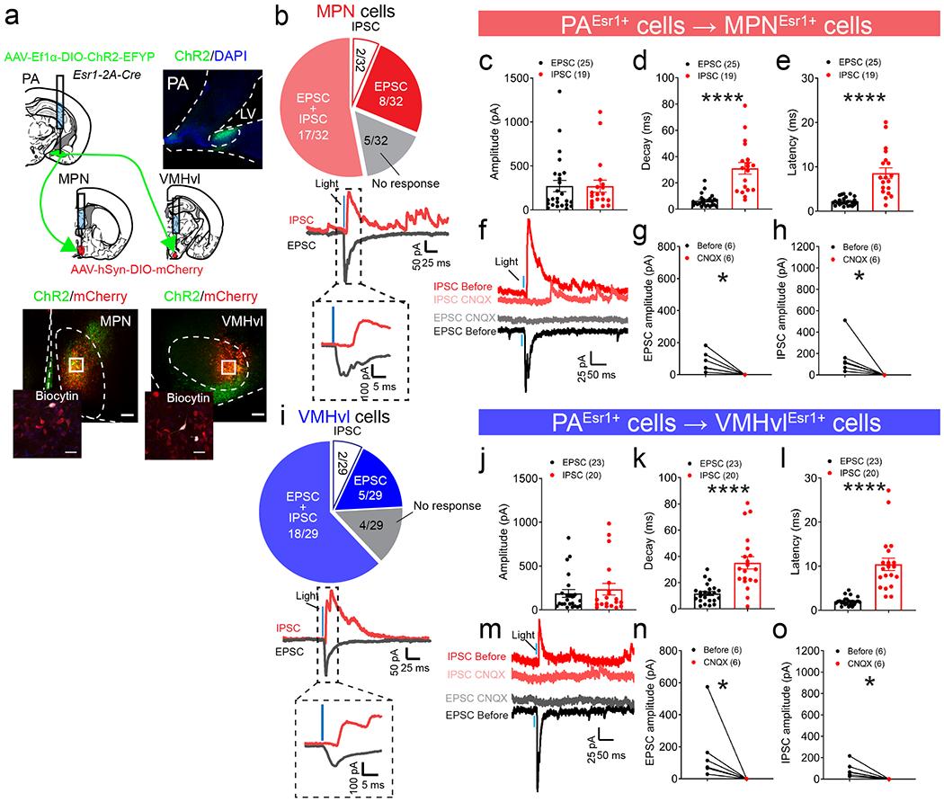 https://cdn.ncbi.nlm.nih.gov/pmc/blobs/67ac/7483354/a64b05293f84/nihms-1605430-f0002.jpg