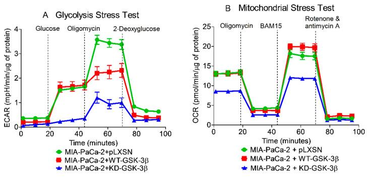 https://cdn.ncbi.nlm.nih.gov/pmc/blobs/67c3/8067414/b804398436fa/cells-10-00816-g013.jpg