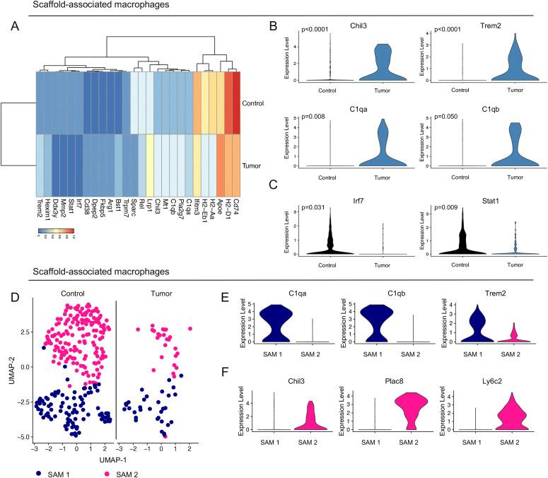 https://cdn.ncbi.nlm.nih.gov/pmc/blobs/67d0/8091600/0b404d52e180/LSA-2020-00935_Fig3.jpg