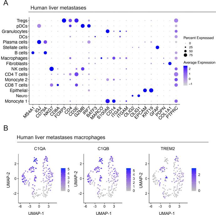 https://cdn.ncbi.nlm.nih.gov/pmc/blobs/67d0/8091600/2d7c8aa95333/LSA-2020-00935_FigS7.jpg