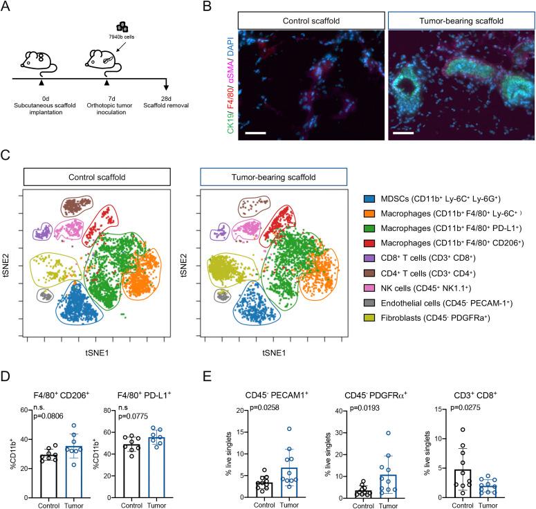 https://cdn.ncbi.nlm.nih.gov/pmc/blobs/67d0/8091600/3aa34f04182d/LSA-2020-00935_Fig1.jpg