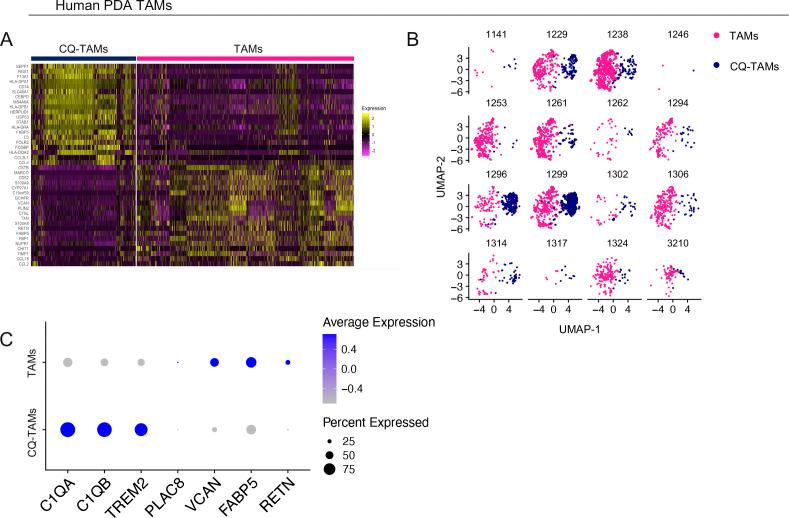 https://cdn.ncbi.nlm.nih.gov/pmc/blobs/67d0/8091600/5378778962cd/LSA-2020-00935_FigS6.jpg