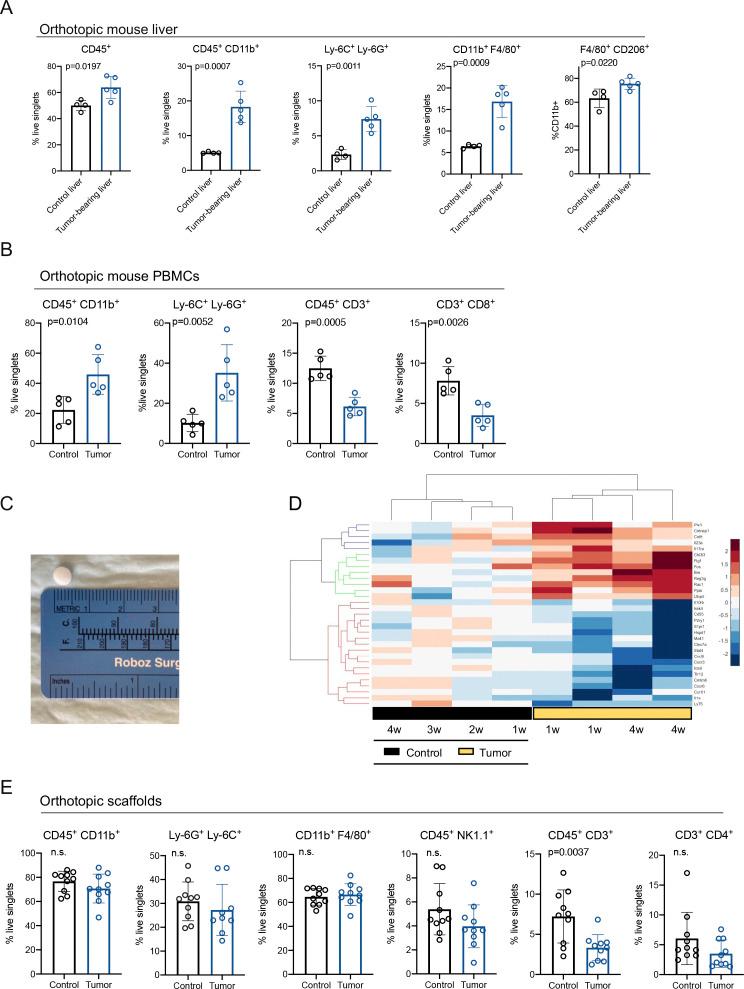 https://cdn.ncbi.nlm.nih.gov/pmc/blobs/67d0/8091600/6e522a6dfb0b/LSA-2020-00935_FigS1.jpg