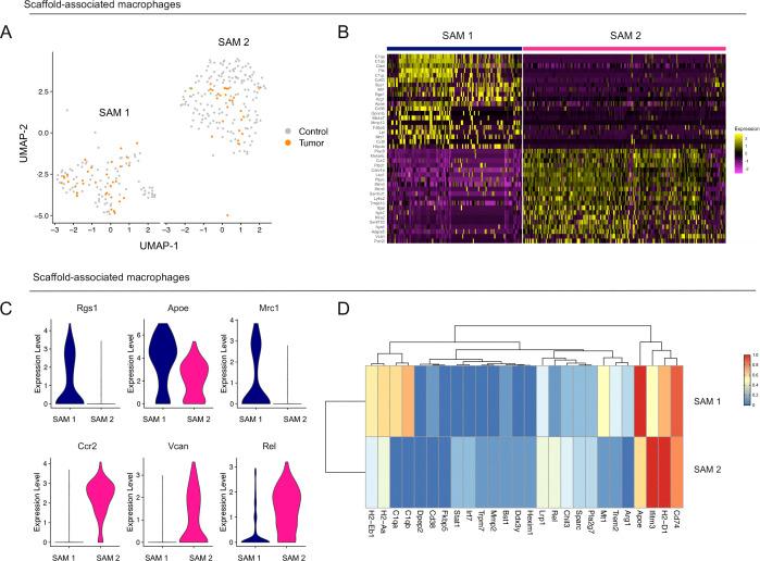 https://cdn.ncbi.nlm.nih.gov/pmc/blobs/67d0/8091600/77c86e1fc680/LSA-2020-00935_FigS3.jpg