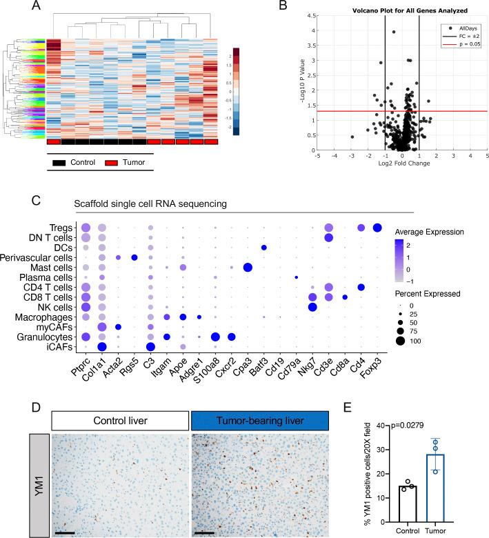 https://cdn.ncbi.nlm.nih.gov/pmc/blobs/67d0/8091600/8bf944bae780/LSA-2020-00935_FigS2.jpg