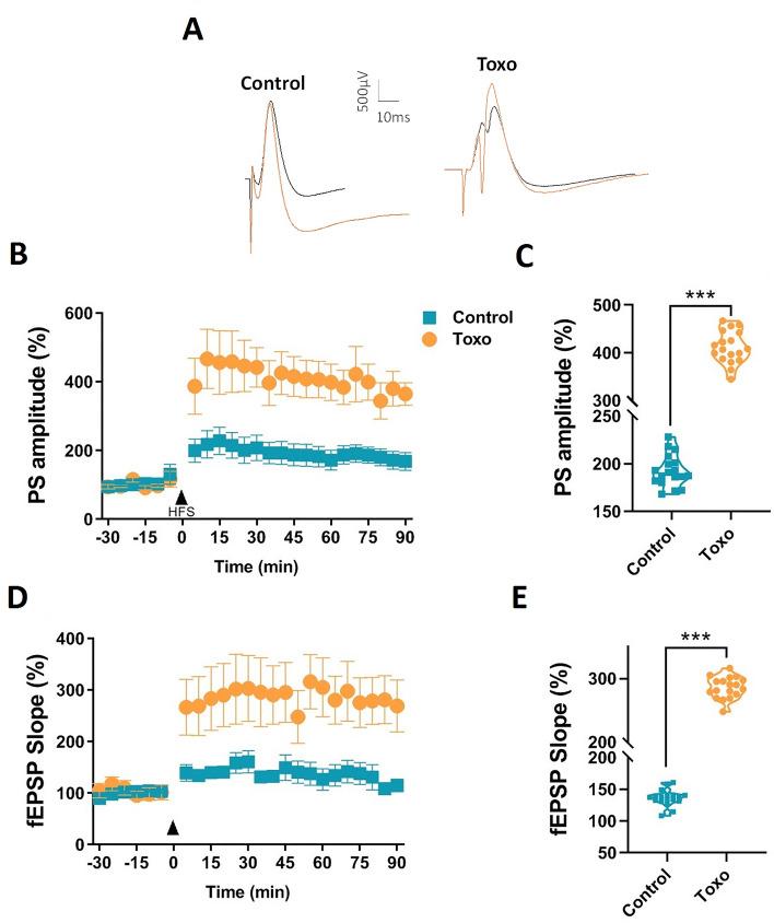https://cdn.ncbi.nlm.nih.gov/pmc/blobs/67df/10238531/cdbd2febcad0/41598_2023_35971_Fig10_HTML.jpg