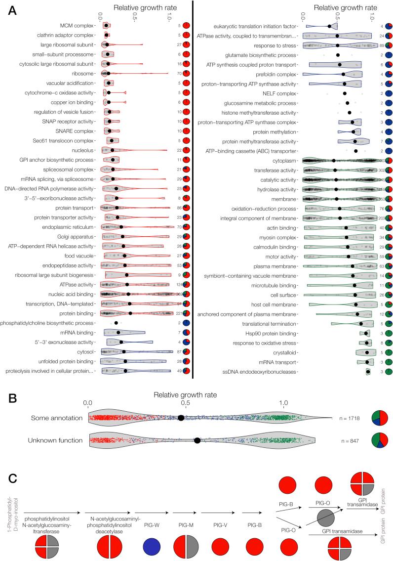 https://cdn.ncbi.nlm.nih.gov/pmc/blobs/67ee/5509546/8ab44f81b08b/figs4.jpg