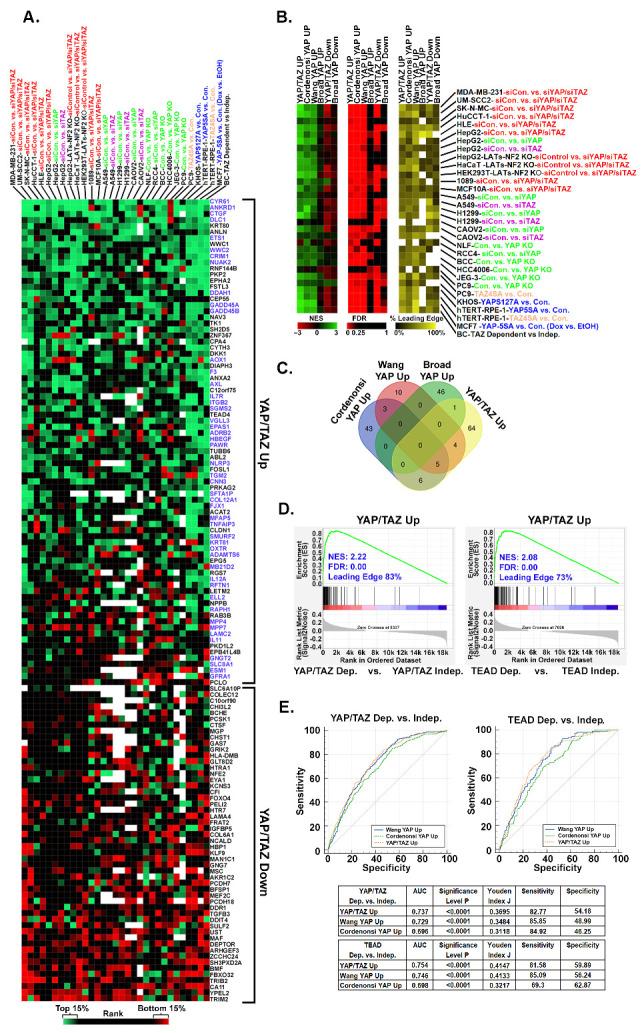 https://cdn.ncbi.nlm.nih.gov/pmc/blobs/67f8/10930532/063dc32a4dbb/cancers-16-00852-g007.jpg