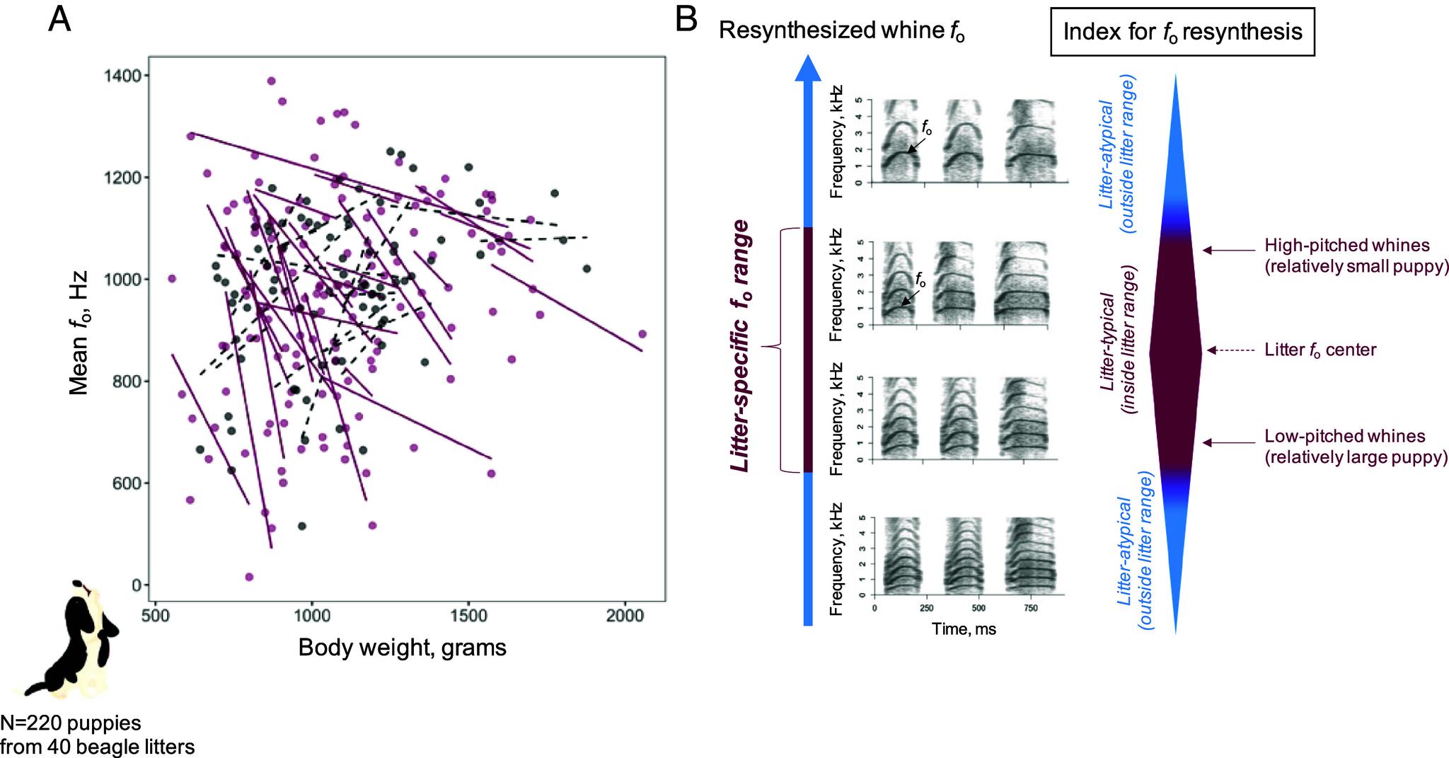 https://cdn.ncbi.nlm.nih.gov/pmc/blobs/67fc/11145252/40b29aebc3cf/pnas.2316818121fig01.jpg