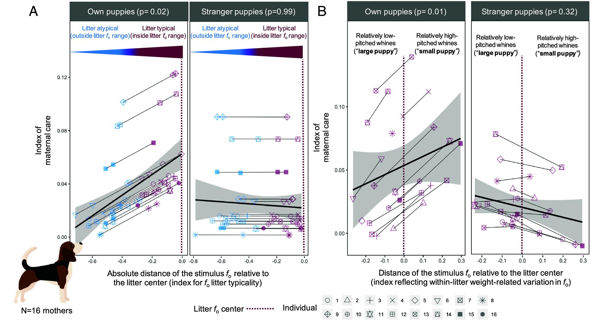 https://cdn.ncbi.nlm.nih.gov/pmc/blobs/67fc/11145252/cdfb7b70cfd7/pnas.2316818121fig02.jpg