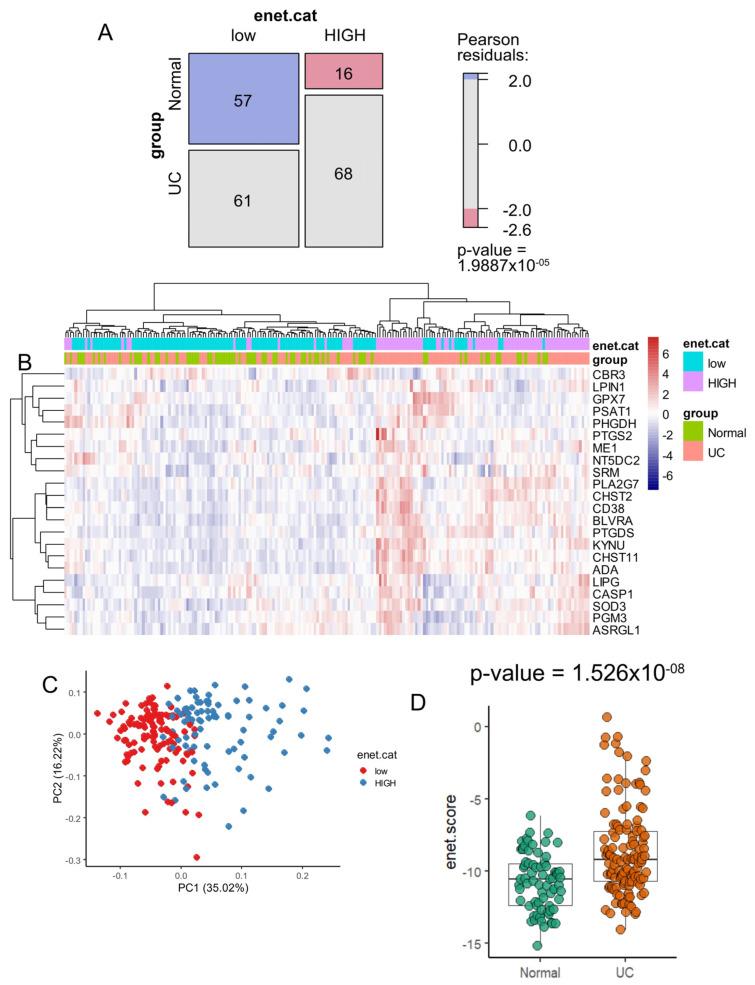 https://cdn.ncbi.nlm.nih.gov/pmc/blobs/6801/11593927/b040945a8dea/genes-15-01412-g004.jpg
