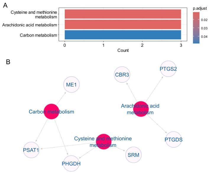 https://cdn.ncbi.nlm.nih.gov/pmc/blobs/6801/11593927/b81e5e3dd93c/genes-15-01412-g005.jpg