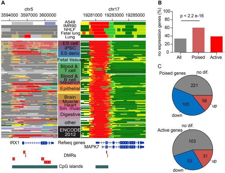 https://cdn.ncbi.nlm.nih.gov/pmc/blobs/6803/8039961/e2b1d2f4c148/thnov11p5346g004.jpg